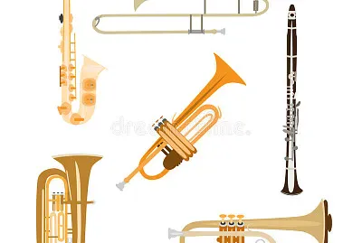 Instrumentos