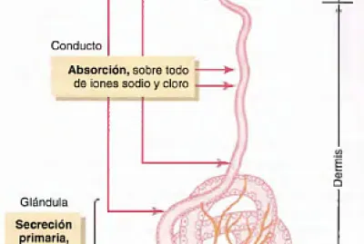 ROMPECABEZAS 3