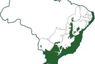 Mata AtlÃ¢ntica