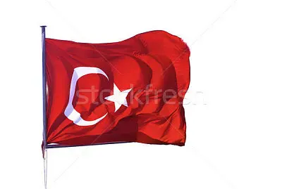 put the puzzle together