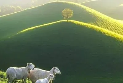 belleza