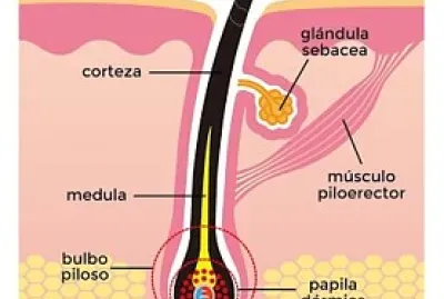 פאזל של ROMPECABEZAS 2