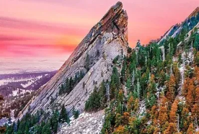 Floresta Boreal jigsaw puzzle