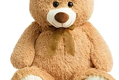 teddy bear jigsaw puzzle