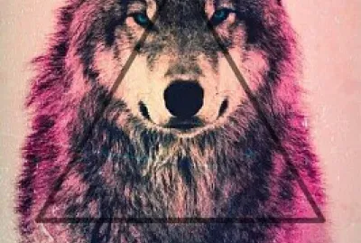 Lobo