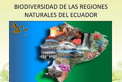 Biodiversidad Ecuatoriana jigsaw puzzle
