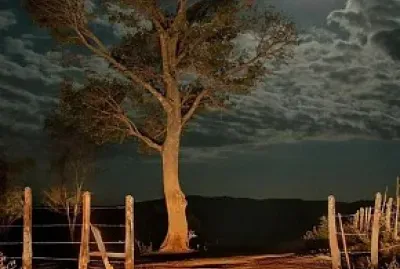 פאזל של belleza