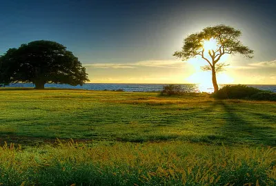 imagem jigsaw puzzle
