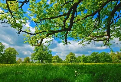 imagem jigsaw puzzle