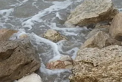 ×‘×™×Ÿ ×”×¡×œ×¢×™× jigsaw puzzle