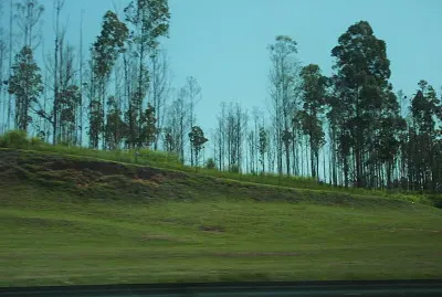 imagem jigsaw puzzle