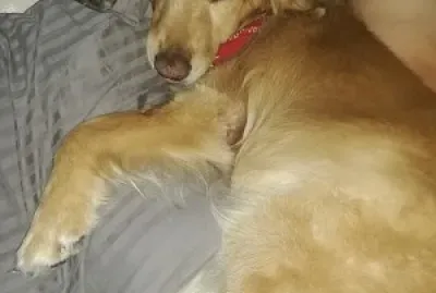 Tobias