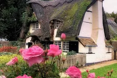 flores