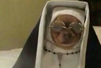 guauguau jigsaw puzzle