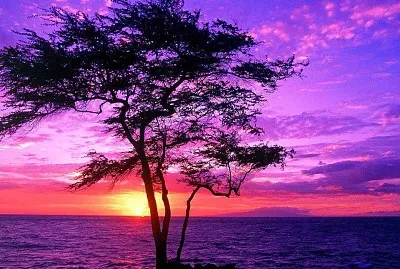 imagem jigsaw puzzle