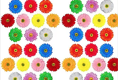 Colors