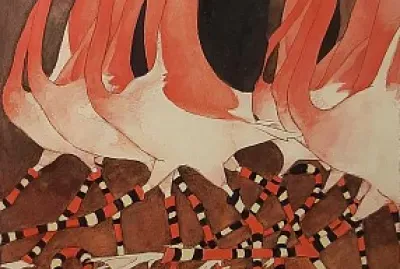 Las medias de los flamencos