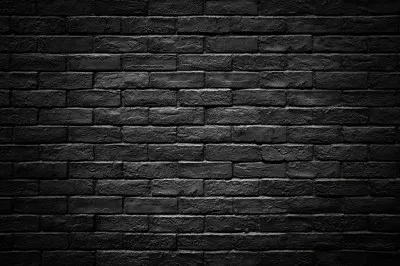 Bricks
