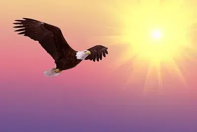 פאזל של imagem