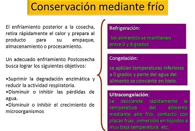 CONTAMINACION
