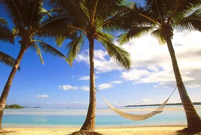 coqueiros jigsaw puzzle