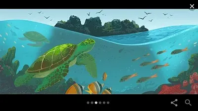 tortugas
