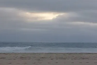 Silvia Isabel Panchana