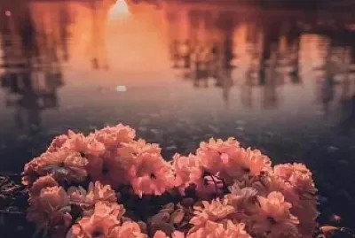 פאזל של el amor es belleza