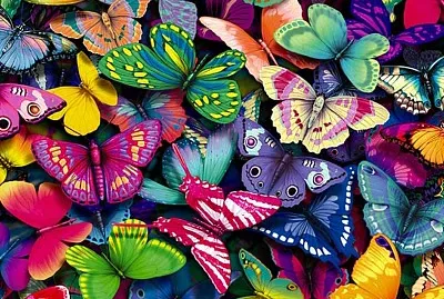 Mariposas Multicolores jigsaw puzzle