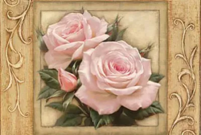 Rosas Rosadas