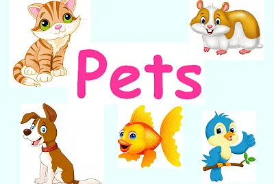 My Pets