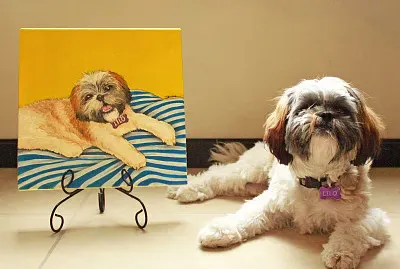 painting shitzu