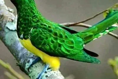 natural