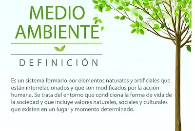 medio ambiente