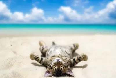 Holidays