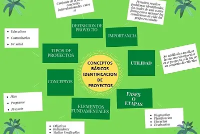 Conceptos bÃ¡sicos para la identificaciÃ³n proyecto