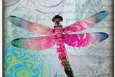 LibÃ©lula Rosada y Azul