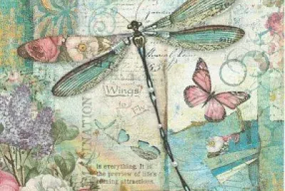 LibÃ©lula Fondo Reciclado