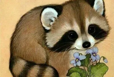 Mapaches con Flores