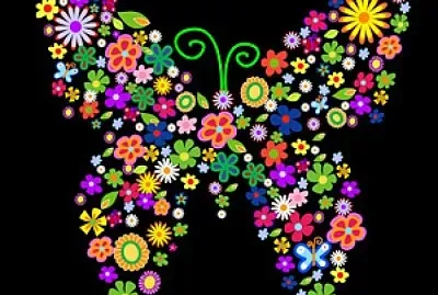 Mariposa Fondo Negro