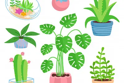 plantas