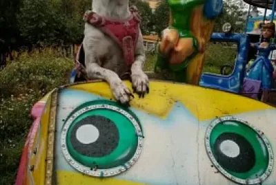 En la feria jigsaw puzzle