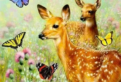 Dears