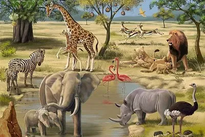 Wild Animals