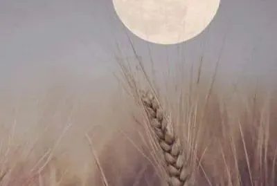 CENÃRIO K87 jigsaw puzzle