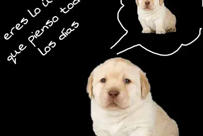 eres lo unico que pienso todos los dias