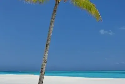 Champagne at the beach