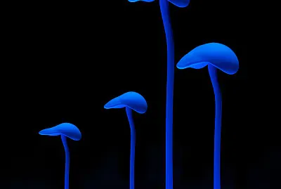 Neon shrooms