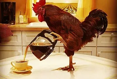 CENÃRIO K92
