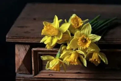 flores